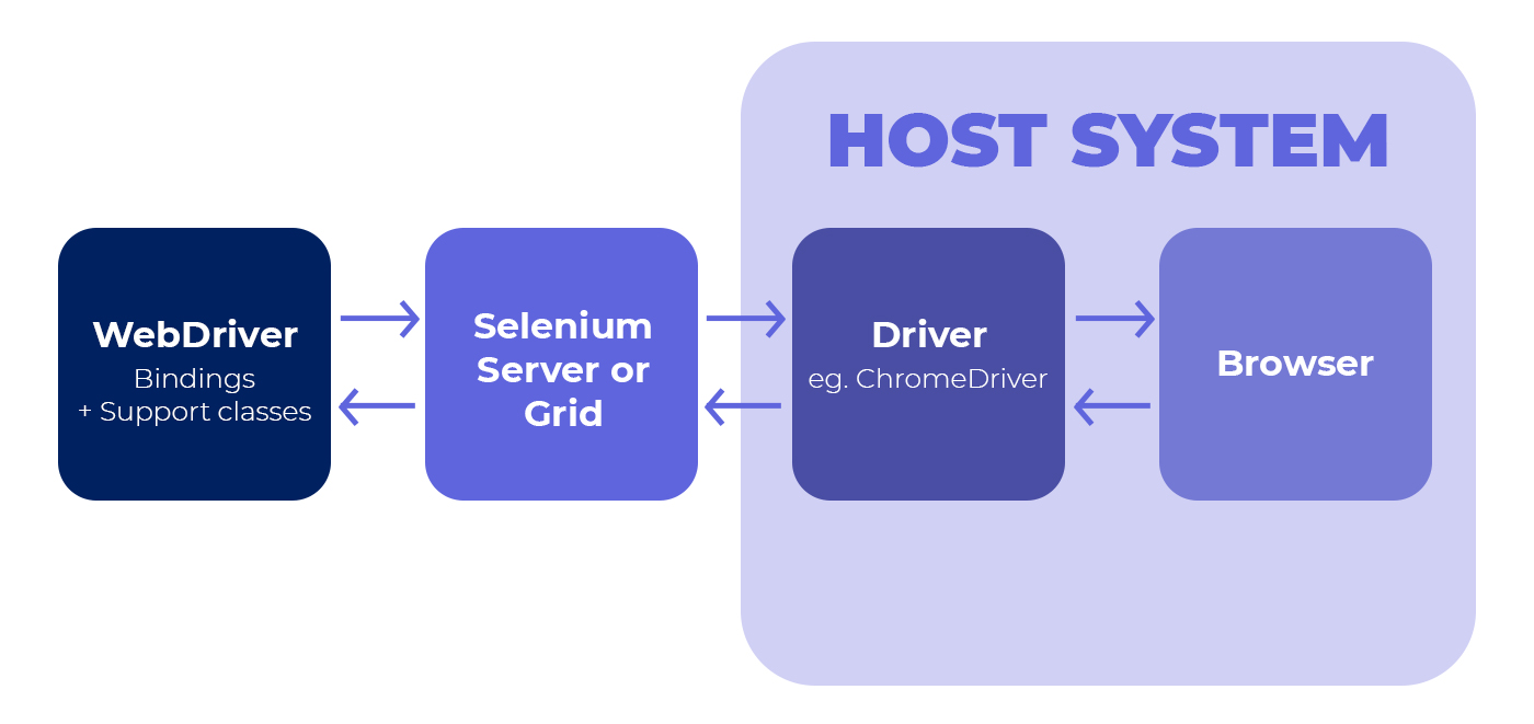 Selenium Webdriver: A Comprehensive Guide to Browser Automation for SDETs